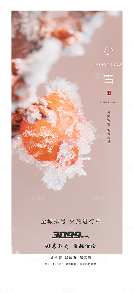 传统二十四节气小雪宣传活动海报