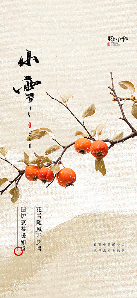 传统二十四节气小雪宣传活动海报