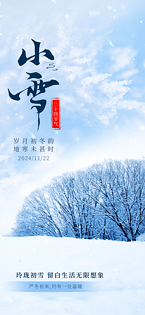 中国传统节气小雪简约海报