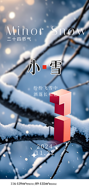 24统节气小雪简约海报