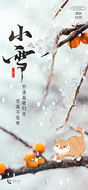 中国传统节气小雪简约海报