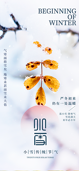 中国传统节气小雪简约海报