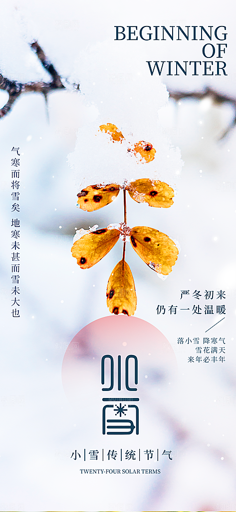 中国传统节气小雪简约海报