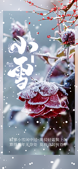 传统二十四节气小雪宣传活动海报