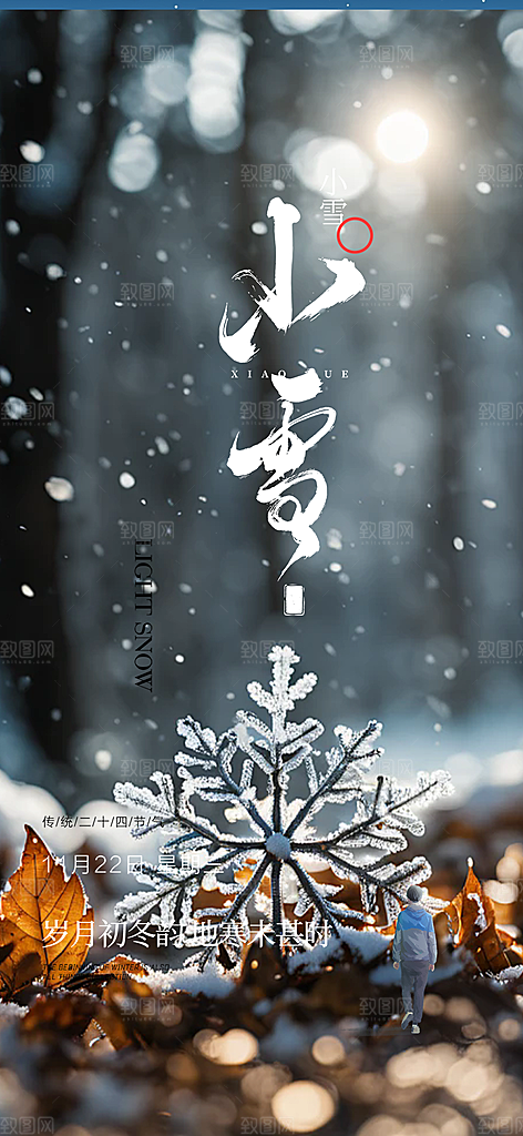 二十四节气小雪宣传海报