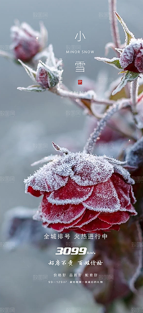 二十四节气小雪宣传活动海报