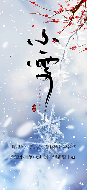 二十四节气小雪宣传活动海报