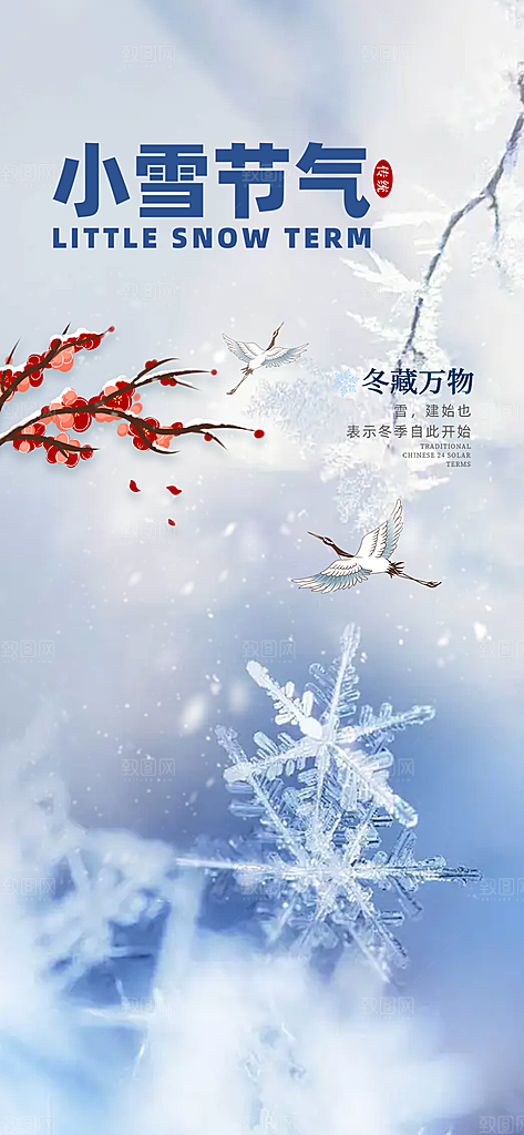 小雪宣传活动海报