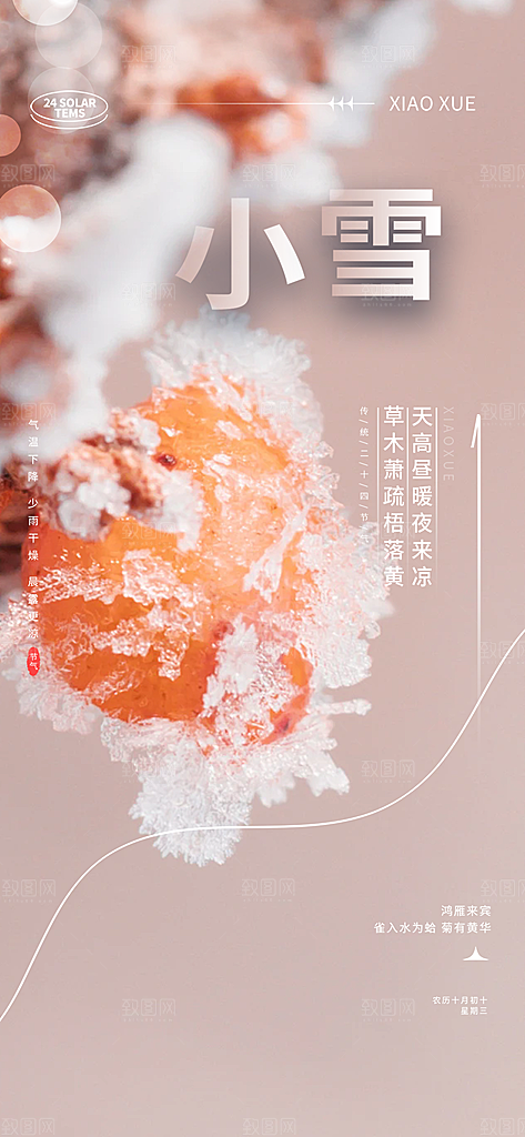 传统二十四节气小雪宣传活动海报
