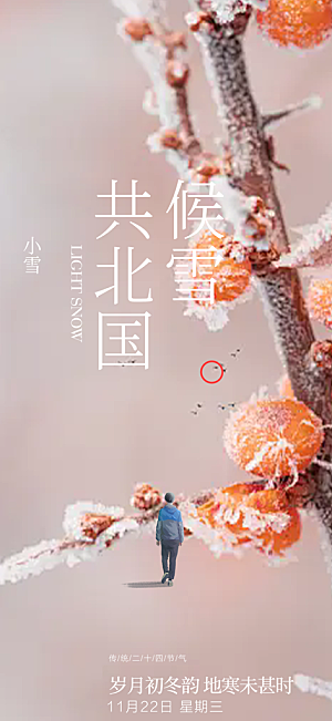 二十四节气小雪宣传活动海报