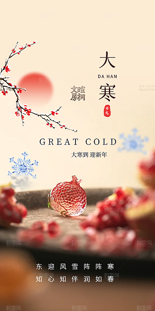 节气大寒宣传活动海报