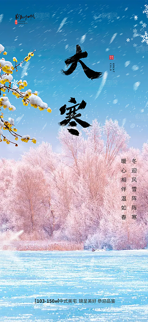 节气大寒宣传活动海报