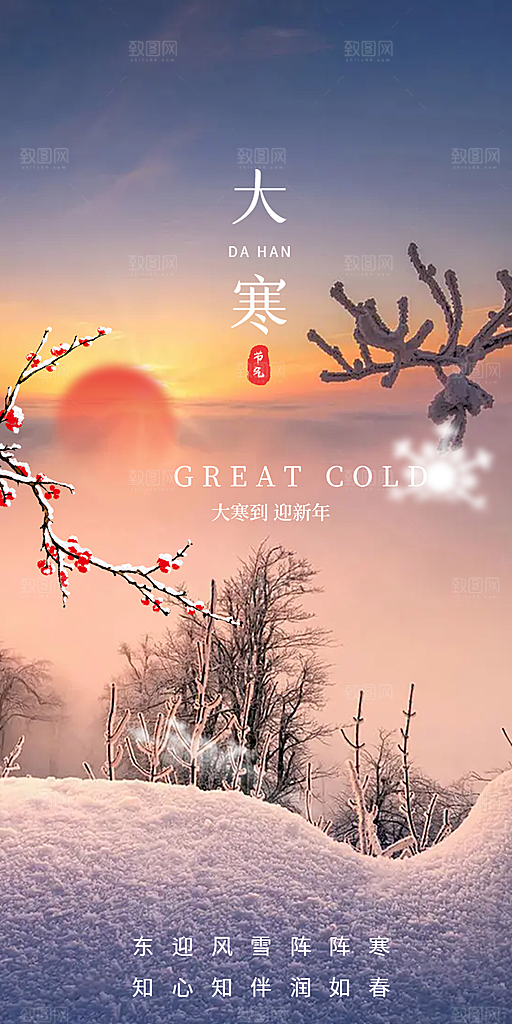 二十四节气大寒宣传活动海报