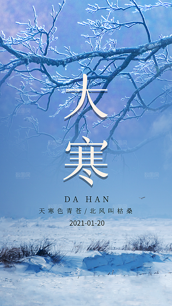 中国传统二十四节气大寒节气节日海报