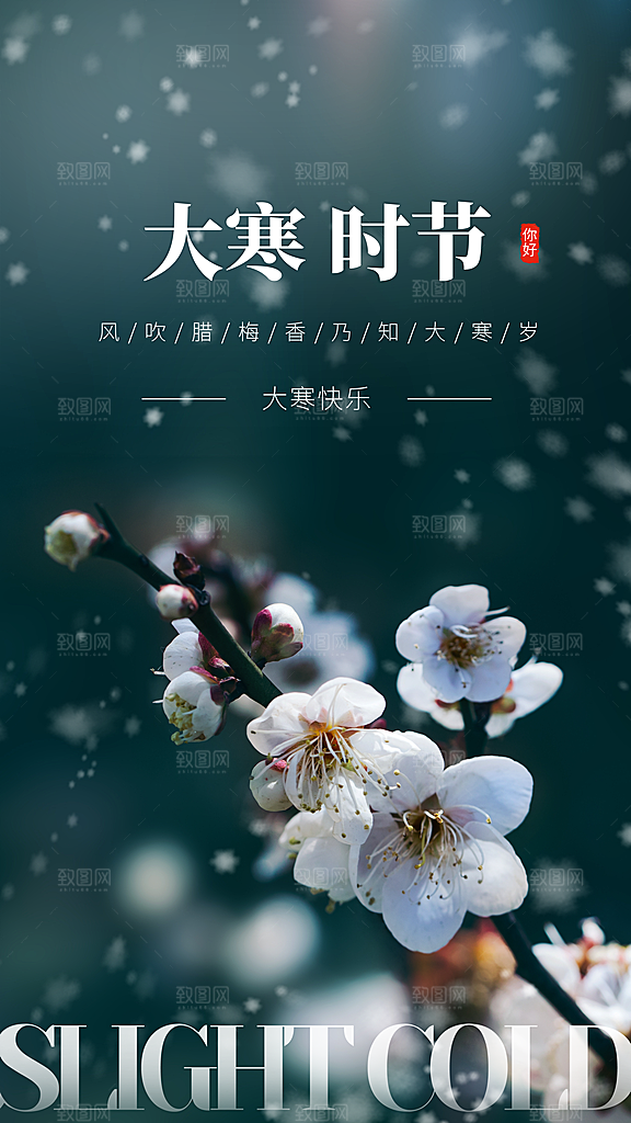 中国传统二十四节气大寒节气节日海报