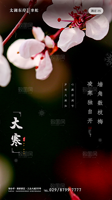 中国传统二十四节气大寒节气节日海报