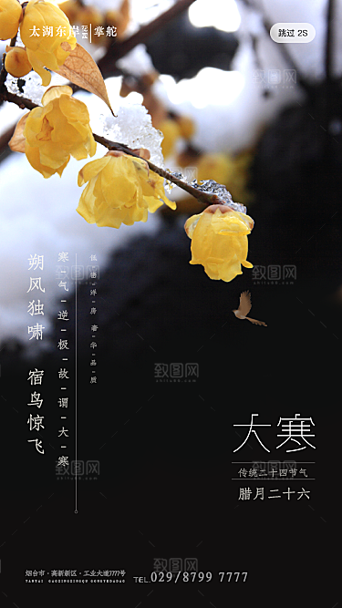 中国传统二十四节气大寒节气节日海报