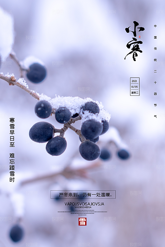 中国传统二十四节气小寒节气节日海报