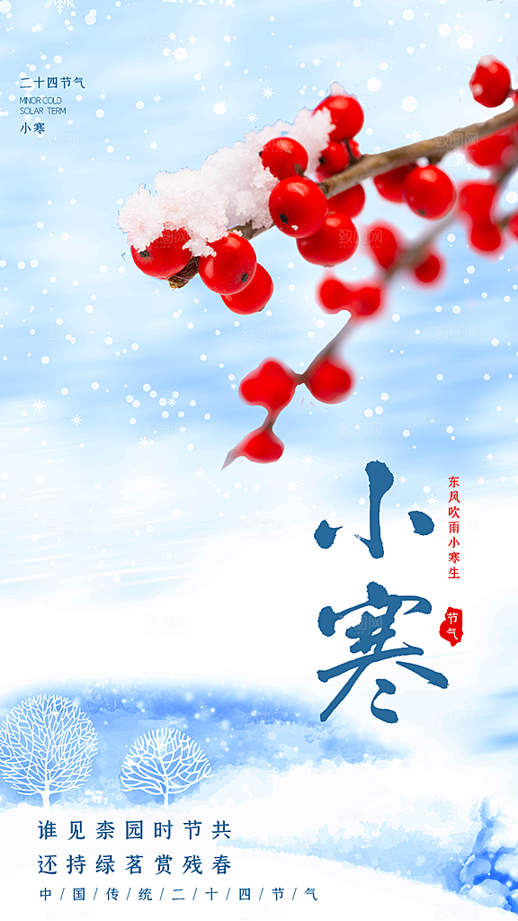 中国传统二十四节气小寒节气节日海报