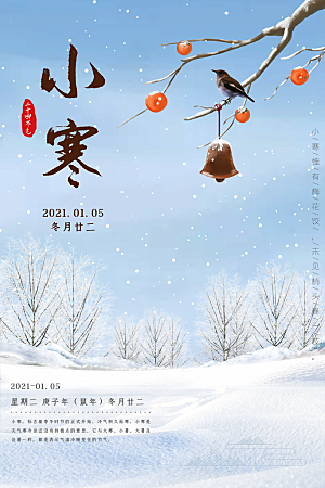 中国传统二十四节气小寒节气节日海报
