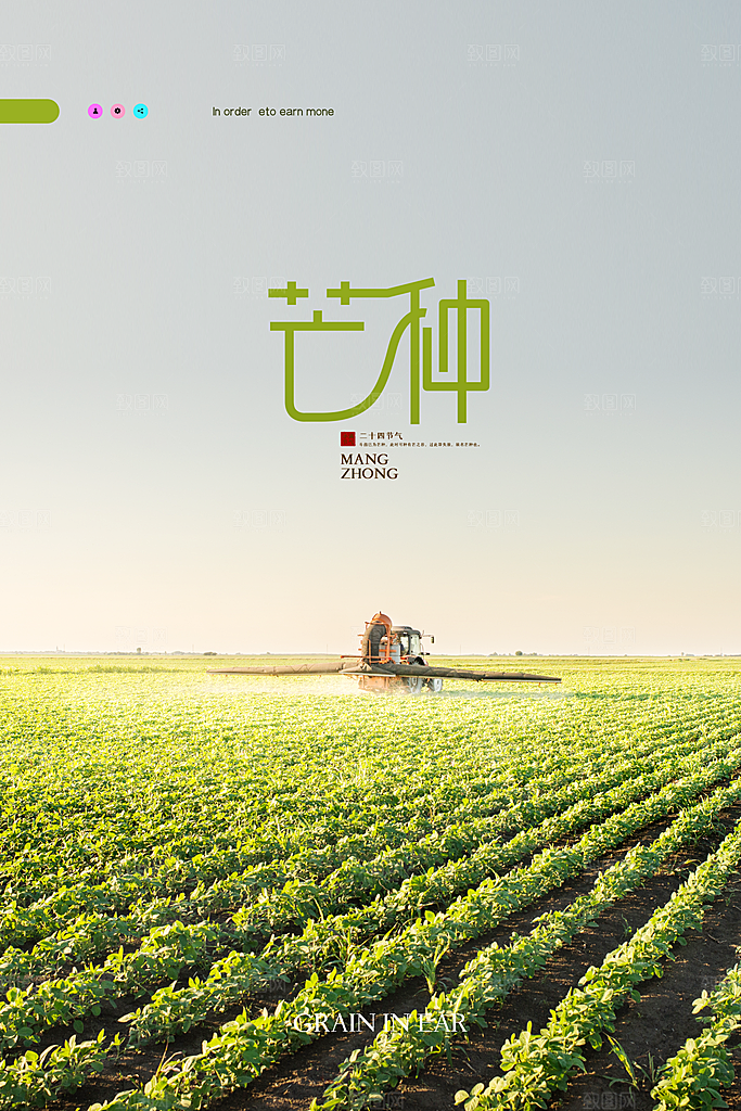 芒种节气简约大气海报