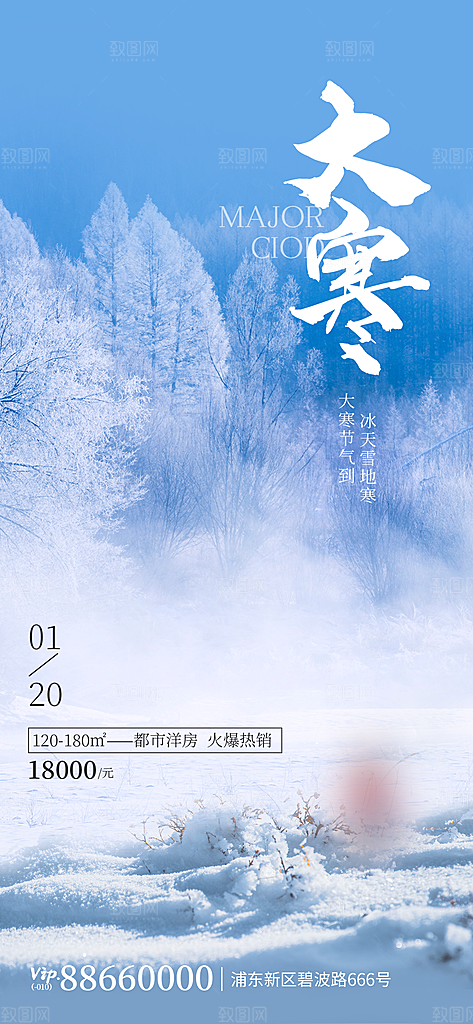 中国传统二十四节气大寒节气节日海报