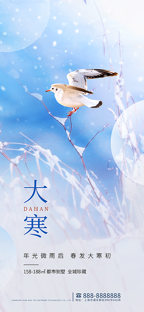 中国传统二十四节气大寒节气节日海报