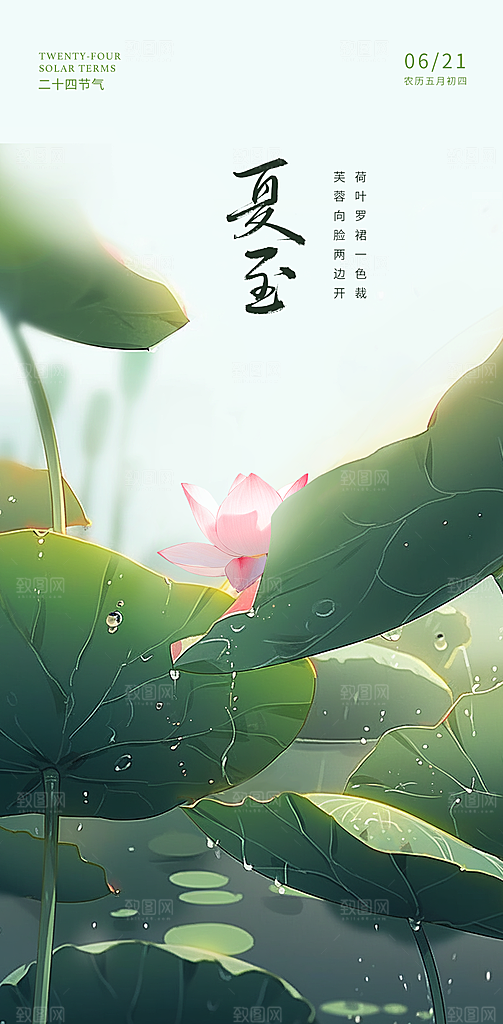 夏至节气简约大气海报