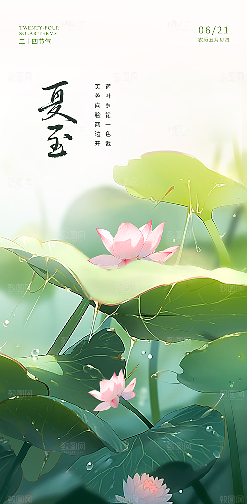 夏至节气简约大气海报