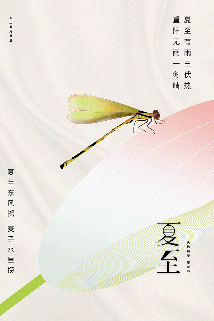 夏至节气简约大气海报