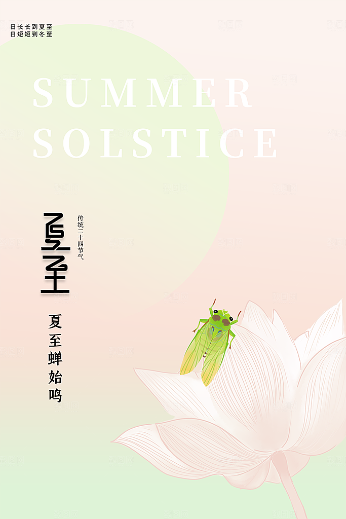 夏至节气简约大气海报