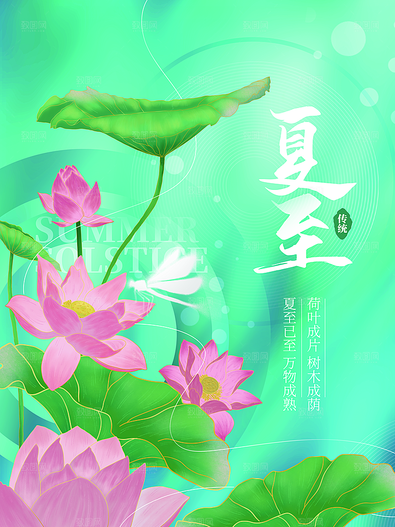 传统节气夏至海报模版