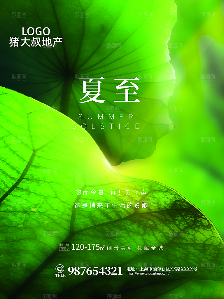 传统节气夏至海报模版