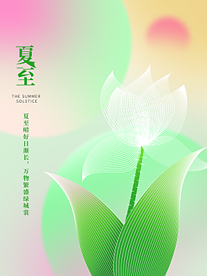 传统节气夏至海报模版