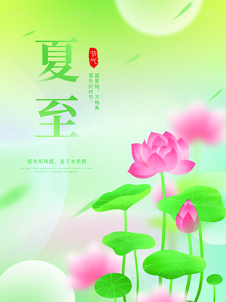 夏至节气简约大气海报