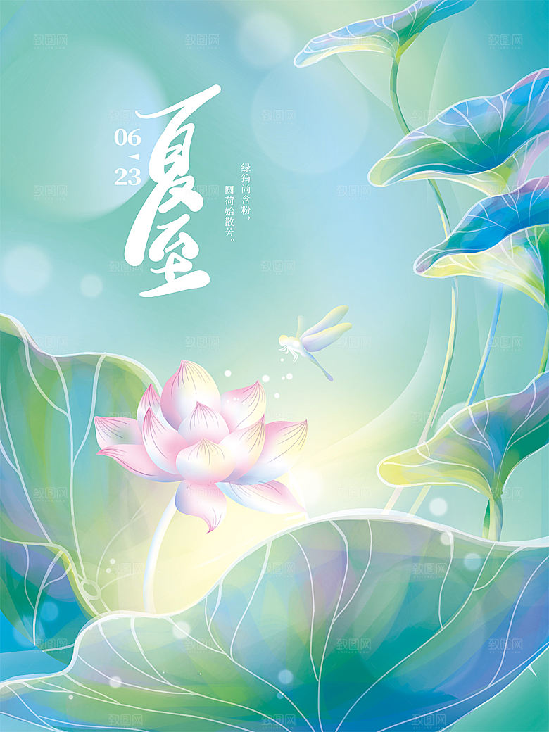 夏至节气简约大气海报