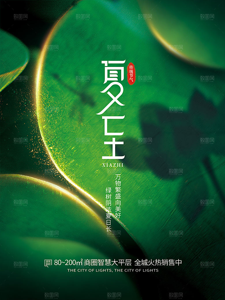 传统节气夏至海报模版
