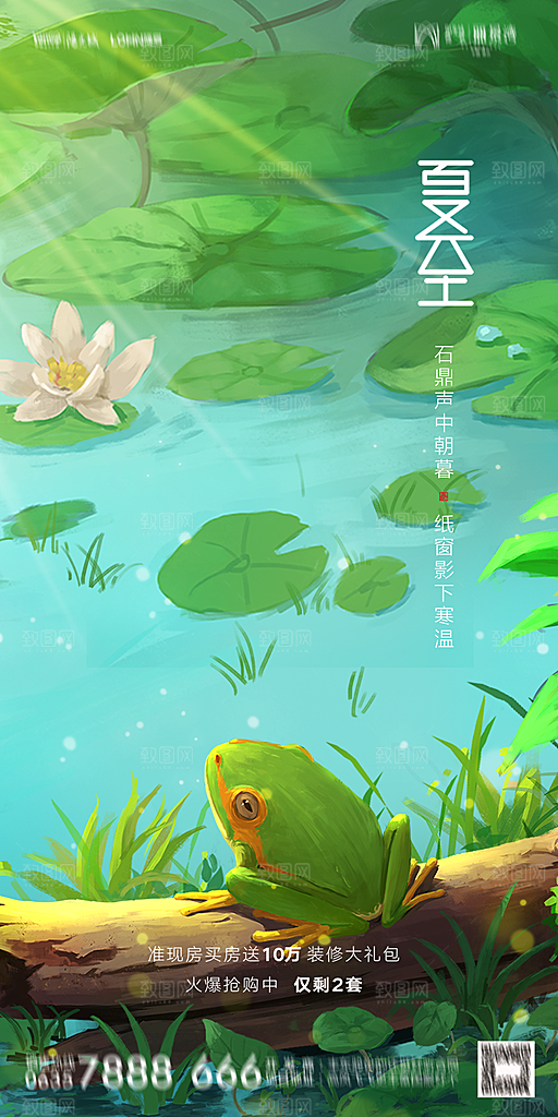 夏至节气简约大气海报