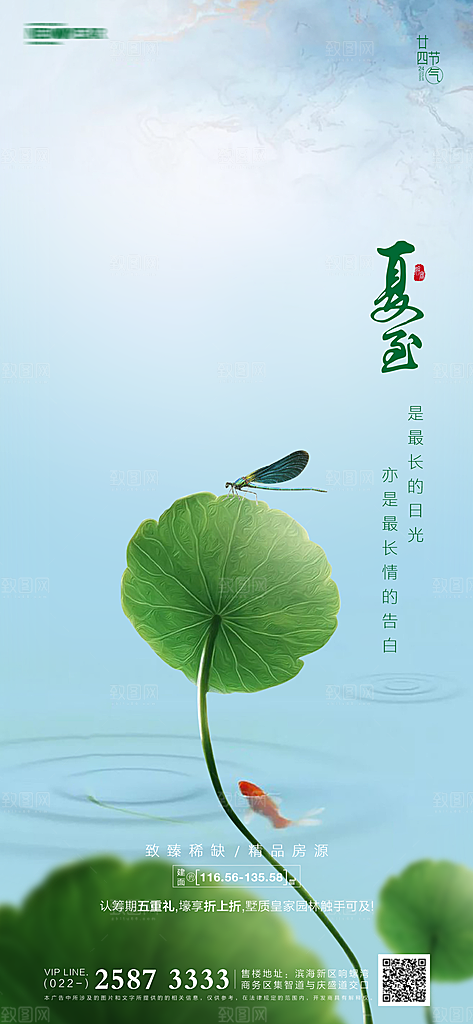 夏至节气简约大气海报