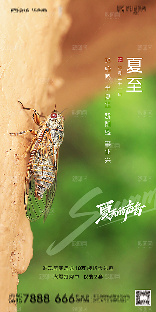 传统节气夏至海报模版