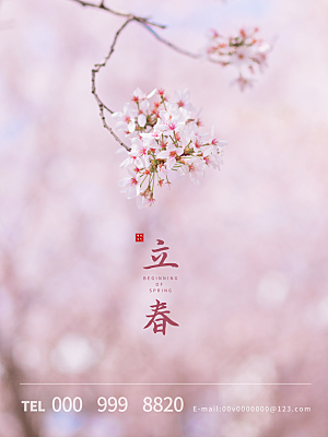 中国传统二十四节气立春节气宣传海报