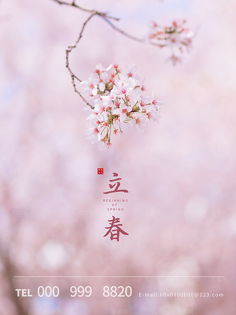 中国传统二十四节气立春节气宣传海报