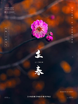中国传统二十四节气立春节气宣传海报
