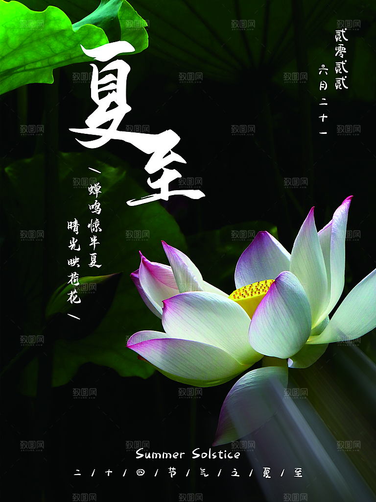 夏至节气简约大气海报