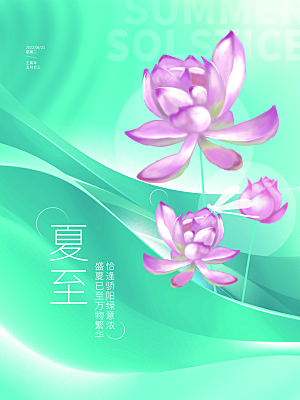 夏至节气简约大气海报