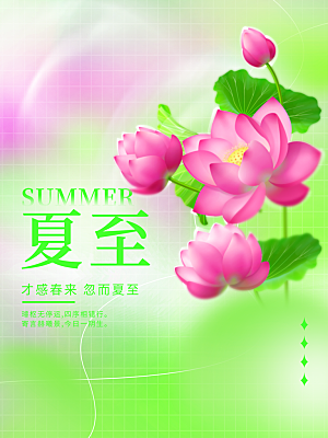 夏至节气简约大气海报