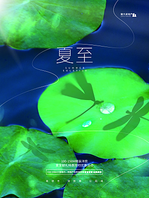 夏至节气简约大气海报