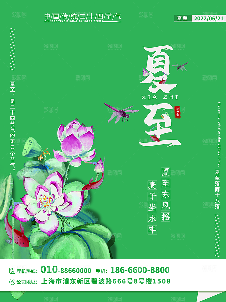 夏至节气简约大气海报