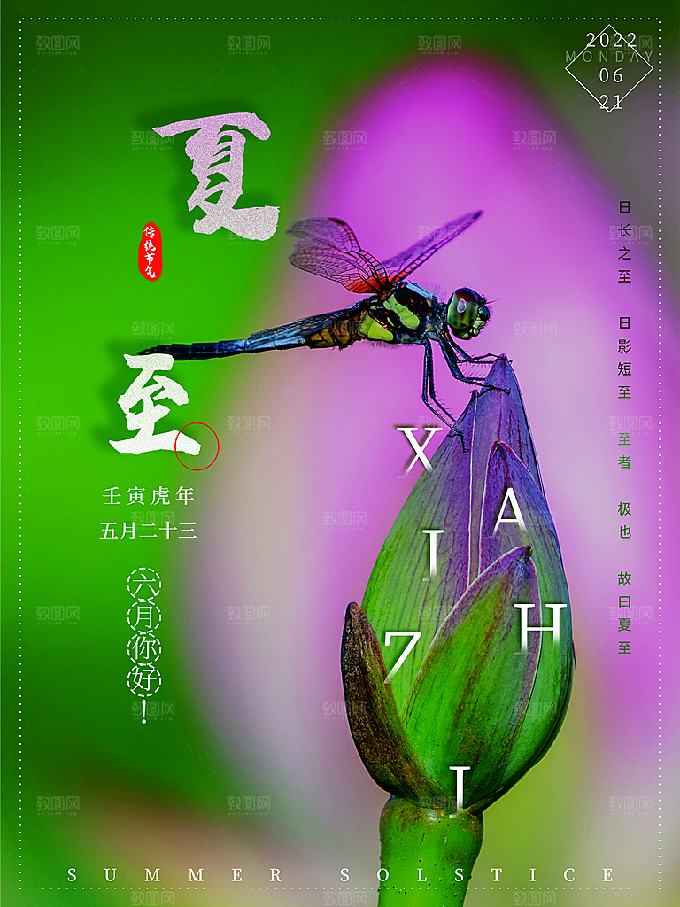 夏至节气简约大气海报