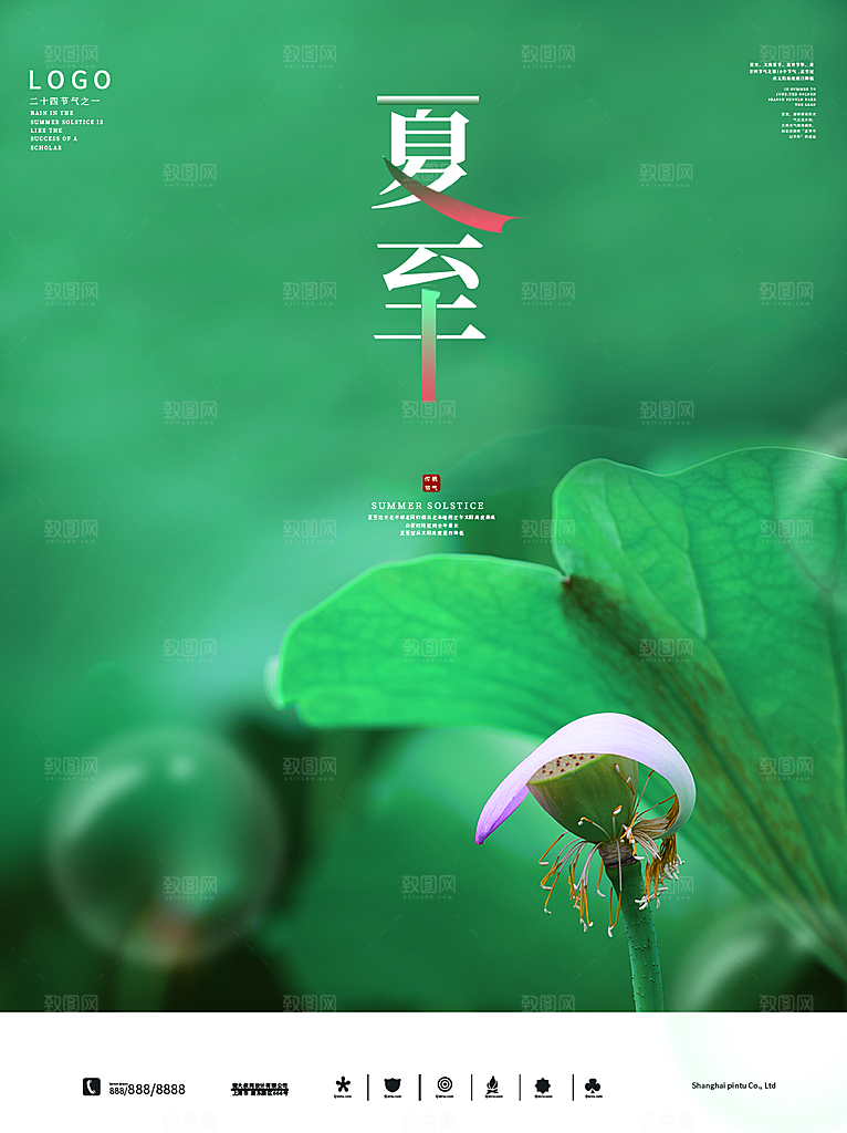 夏至节气简约大气海报